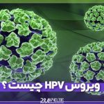 ویروس HPV چیست ؟