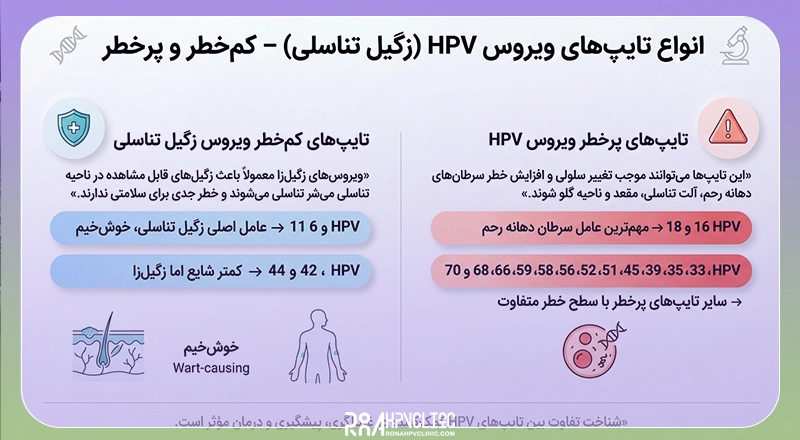 انواع تایپ های زگیل تناسلی 14 لیست انواع تایپ های زگیل تناسلی پرخطر و کم خطر