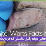 genital-warts-facts-men