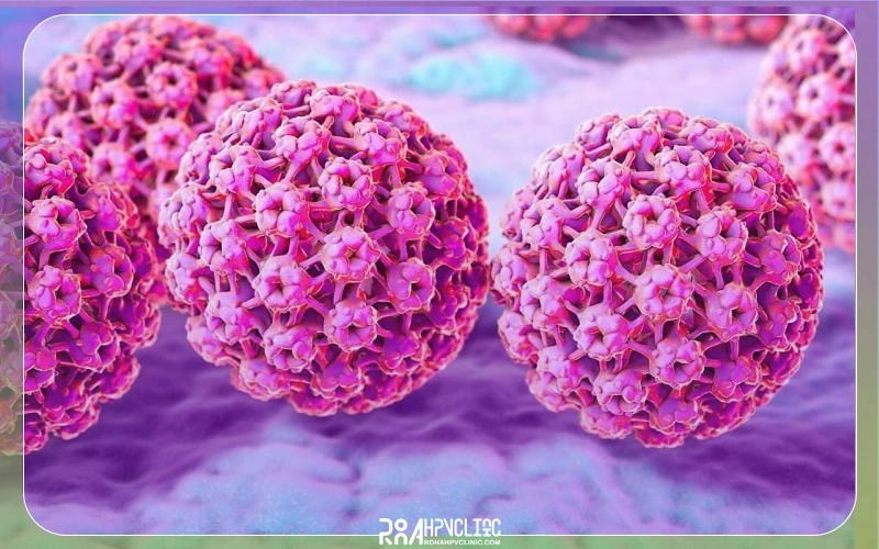 طول عمر ویروس HPV در خارج از بدن