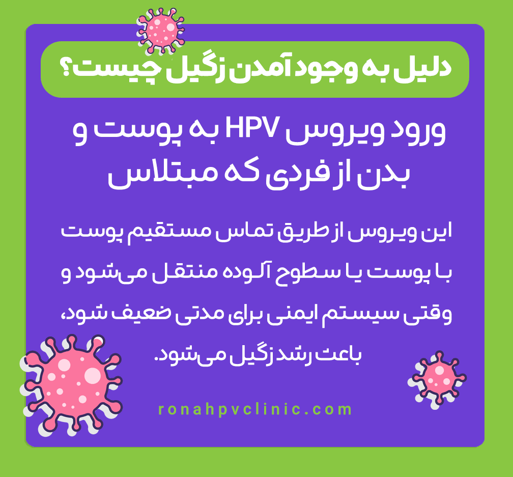 دلیل زگیل تناسلی