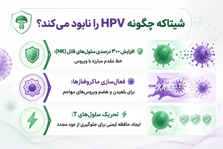 شیتاکه روی زگیل و HPV
