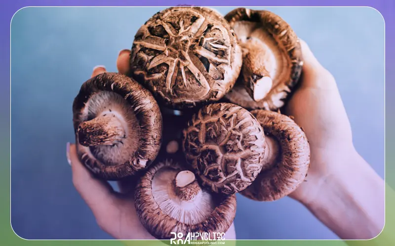 قارچ شیتاکه روی زگیل تناسلی