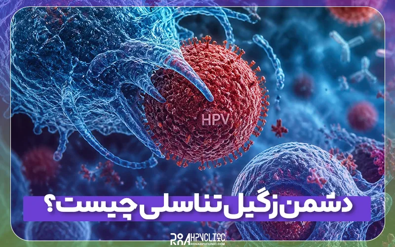 8 دشمن زگیل تناسلی زنان و مردان را بشناسید! +تجربیات بیماران 7 دشمن زگیل تناسلی چیست و چگونه از آن_ها استفاده کنیم؟