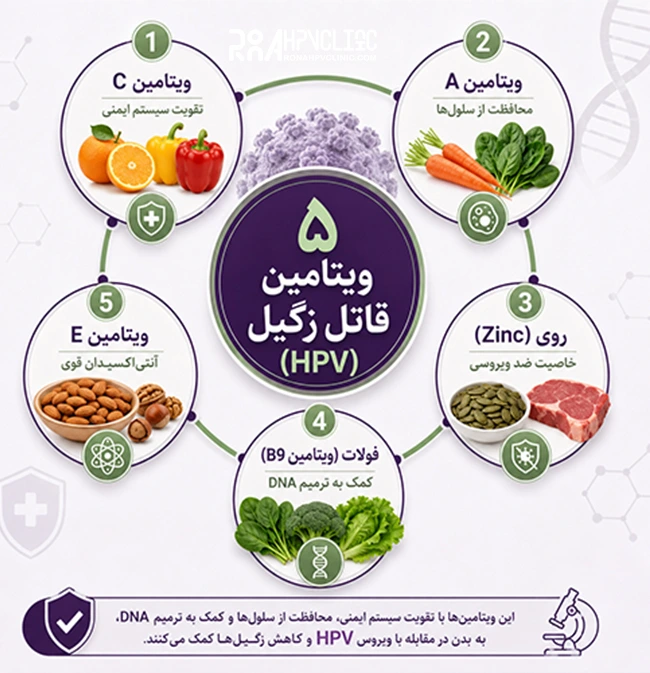 ویتامین های مفید در رژیم غذایی اچ پی وی