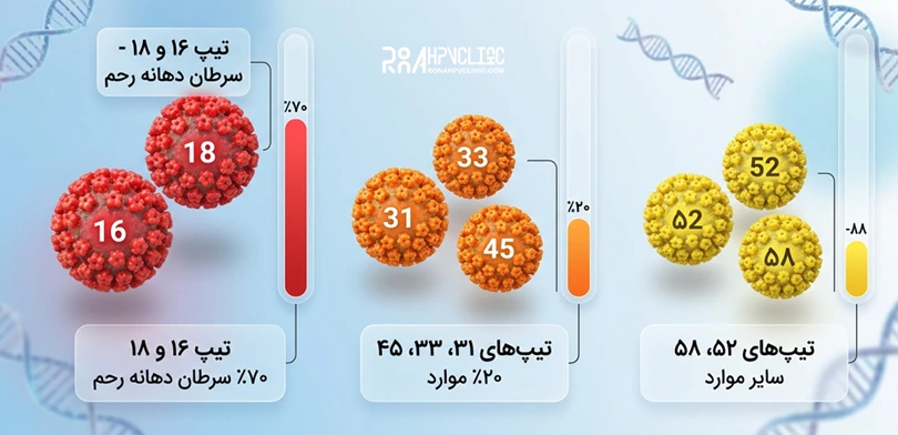 انواع تایپ های زگیل تناسلی 25 کدام نوع اچ پی وی خطرناک است؟ نحوه پیشگیری-1