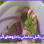 راهنمای درمان زگیل تناسلی با داروهای گیاهی