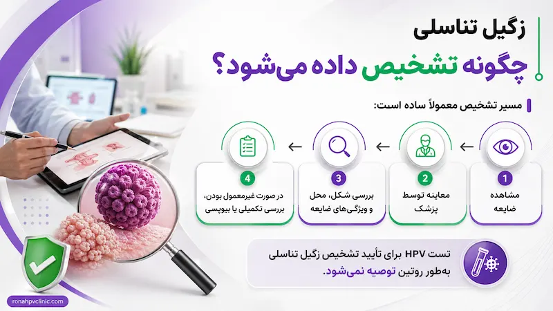از کجا بفهمیم زگیل تناسلی داریم؟ تشخیص زگیل تناسلی 14 از کجا بفهمیم زگیل تناسلی داریم؟