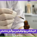 اثربخشی پودوفیلین بر زگیل تناسلی زنان و مردان