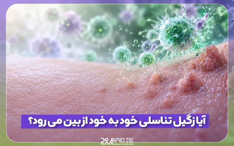 کلینیک hpv رونا 169 آیا زگیل تناسلی خود به خود از بین می رود؟